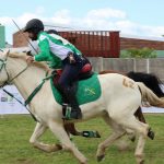 Alt-Sports Betting Syndicates